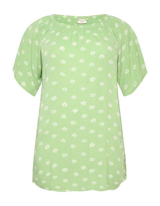 пастельно-зеленый