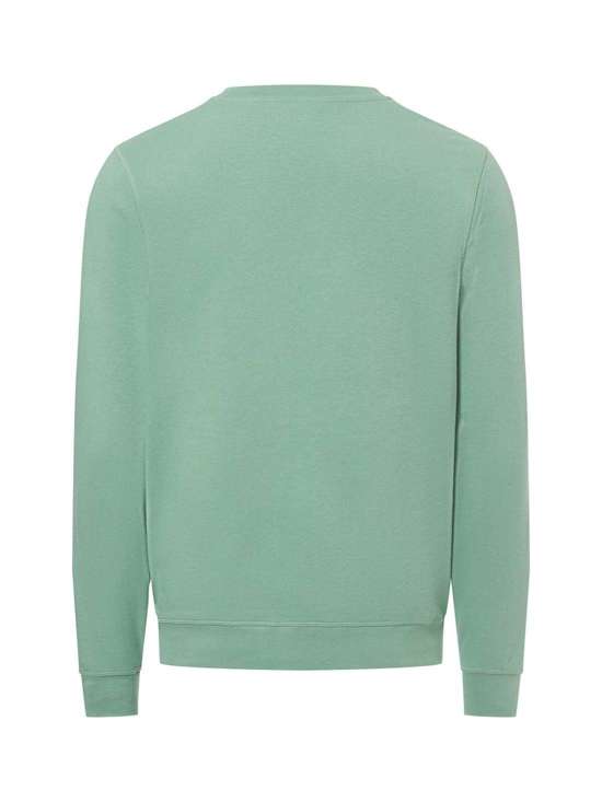 пастельно-зеленый