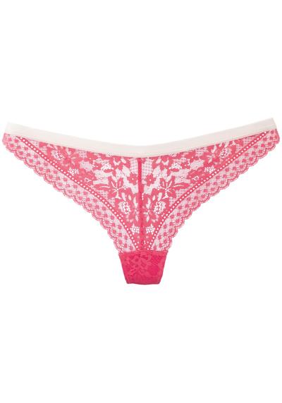 pitaya