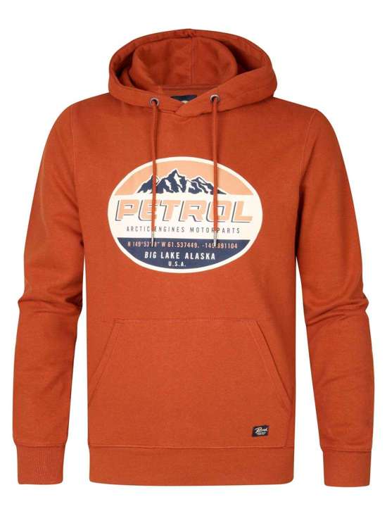 ржавый коричневый