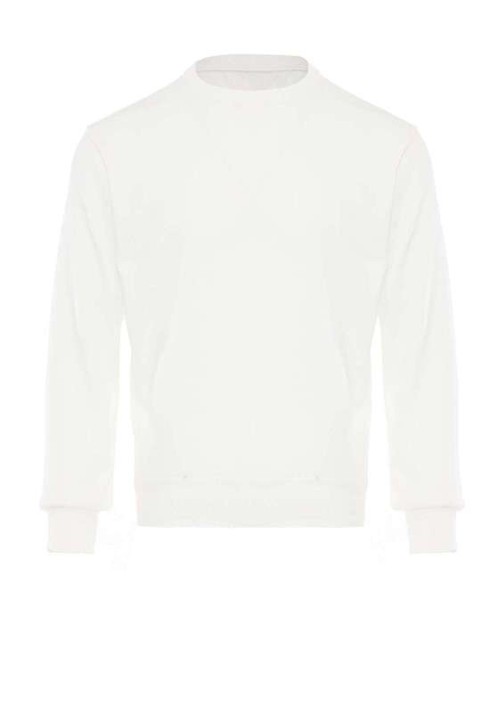 цвет белой шерсти