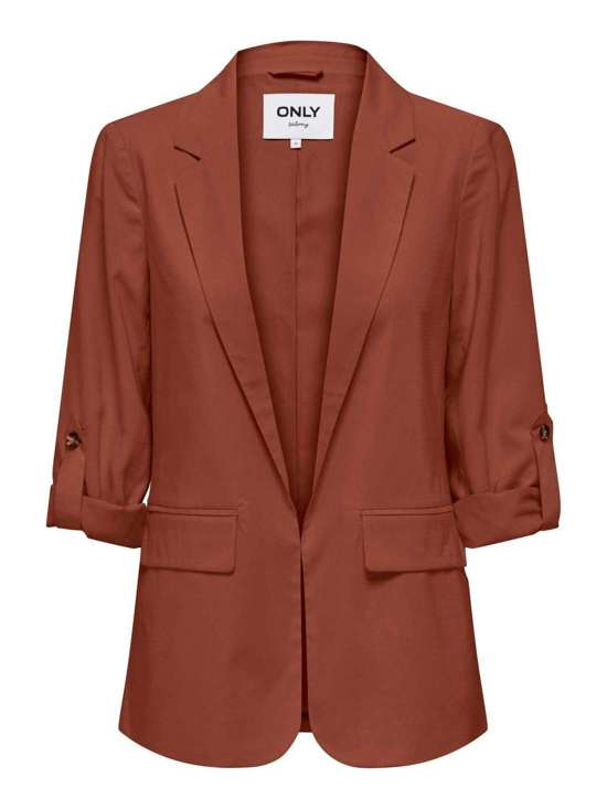 коричневый каштан