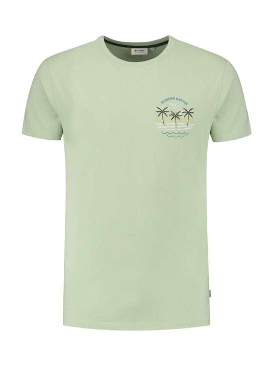 пастельно-зеленый