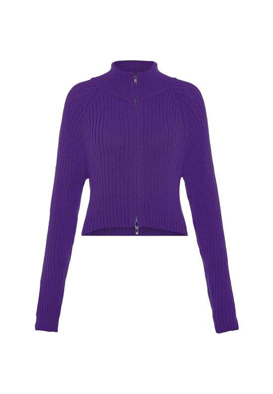 темно-лиловый