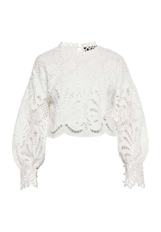 цвет белой шерсти