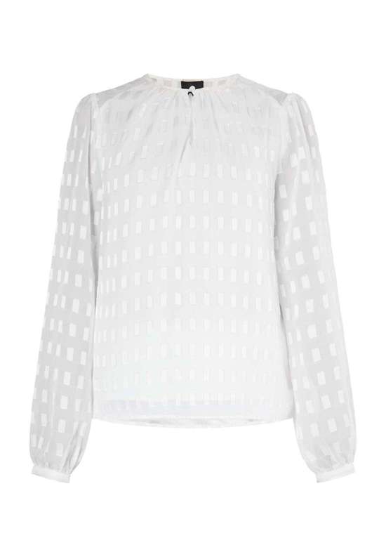 цвет белой шерсти