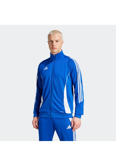 королевский синий / белый