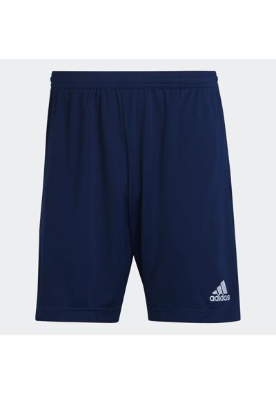 team navy blue 2