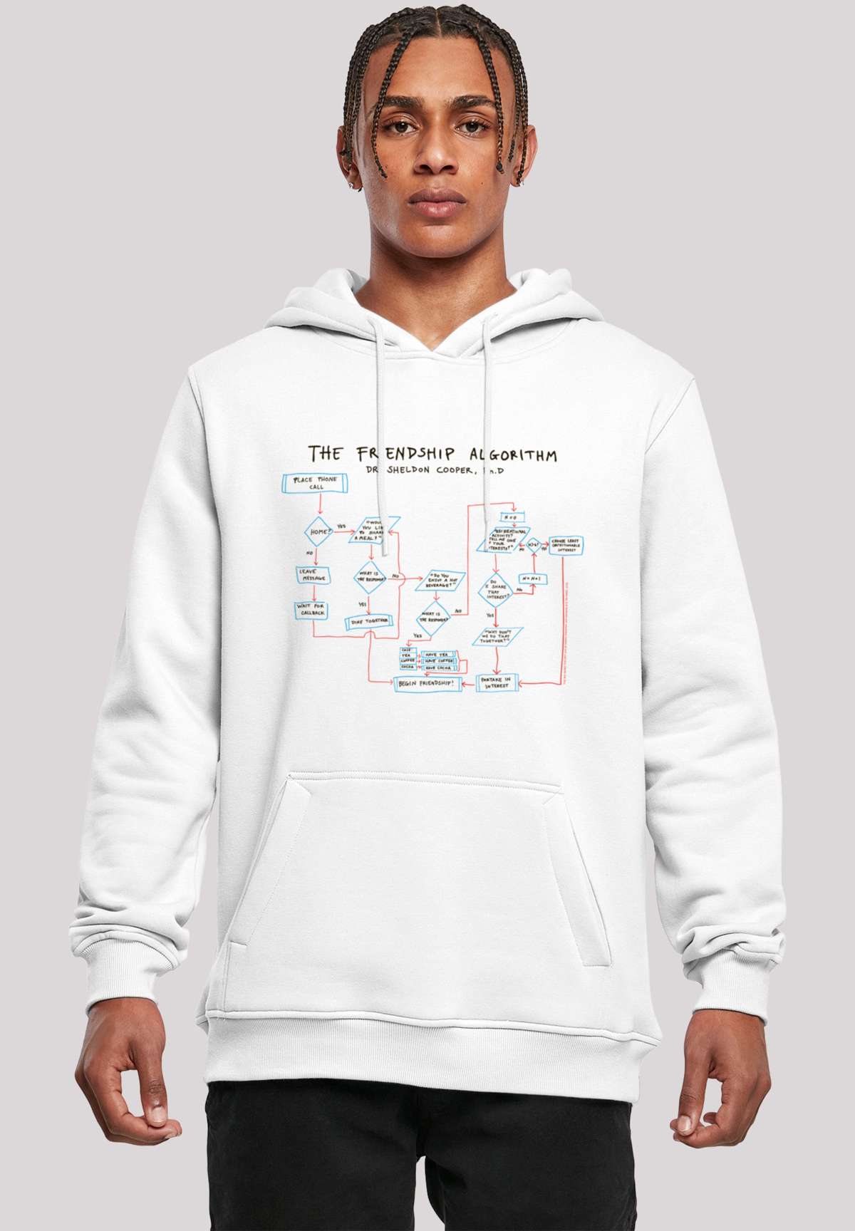 толстовка Big Bang Theory Theory Friendship Algorithm