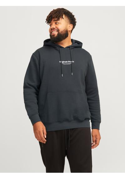 Толстовка с капюшоном»JORVESTERBRO SWEAT HOOD NOOS PLS«