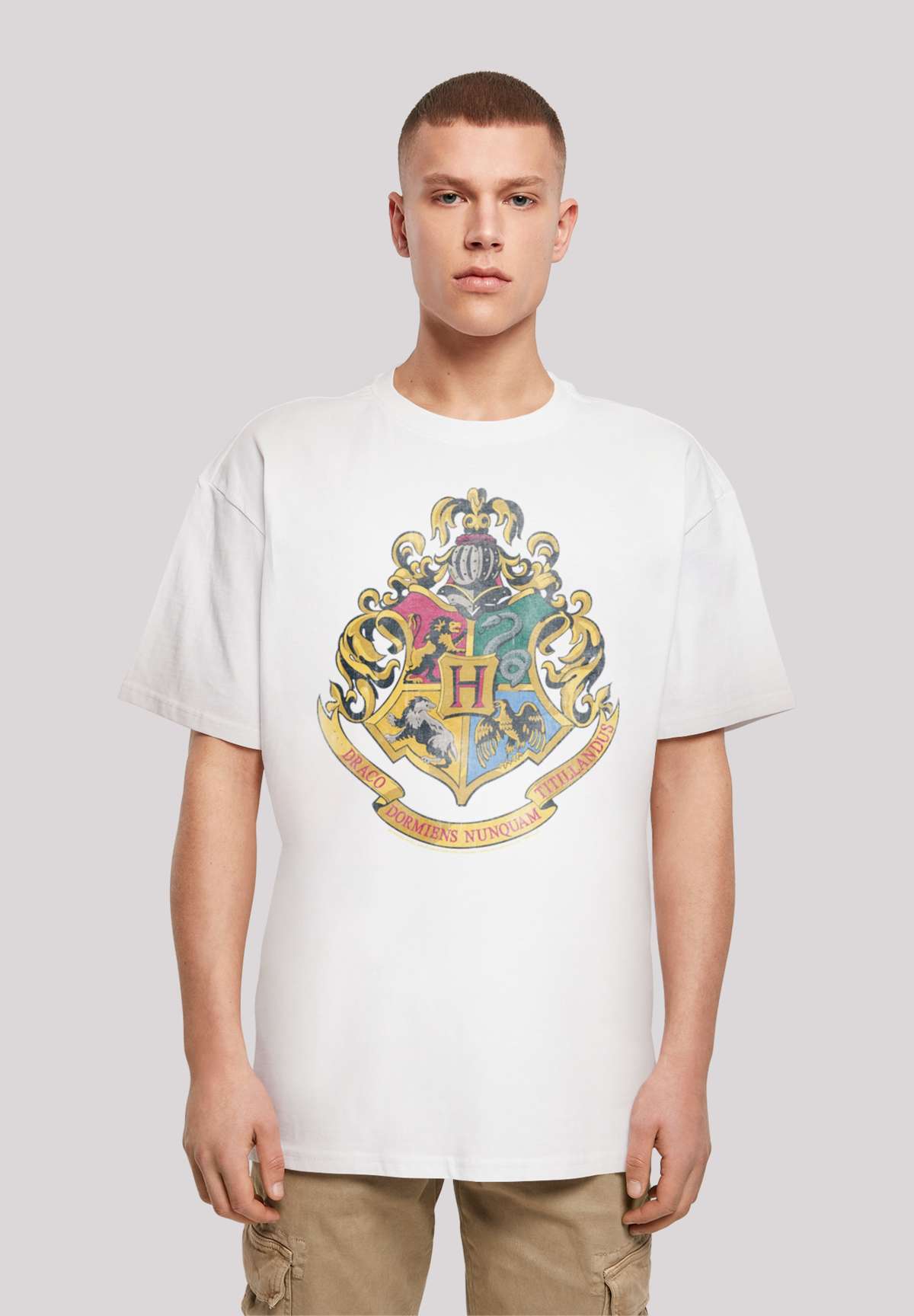 футболка Harry Potter Distressed Hogwarts Crest