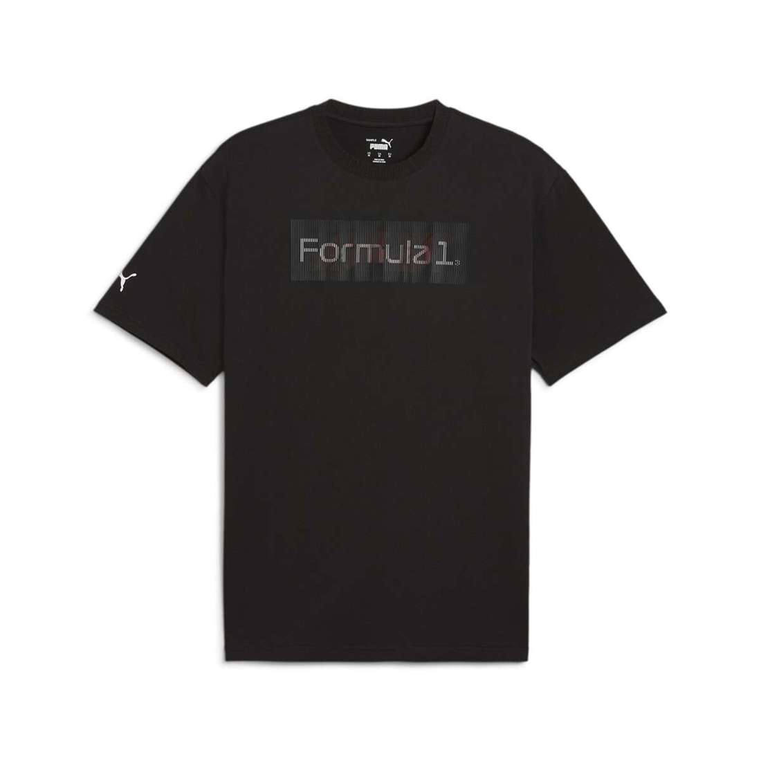 футболка F1® Graphic Logo T-Shirt Herren