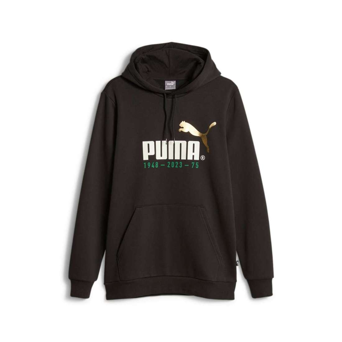 Толстовка с капюшоном NO. 1 LOGO CELEBRATION HOODIE FL