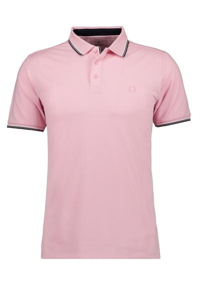 Rosa-609