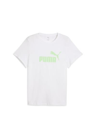 White Spring Fern Green