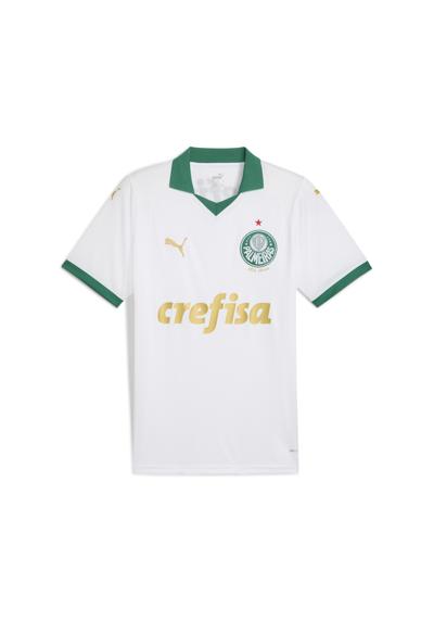 Тренировочная рубашка Palmeiras Fans 2024 Auswärtstrikot Herren