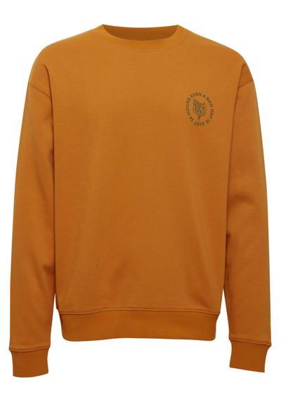 толстовка Sweatshirt SDGaius