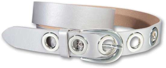 серебристо-серый