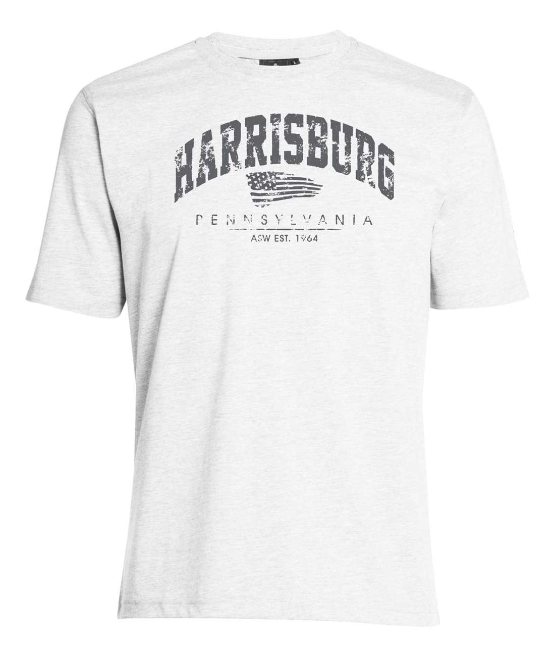 Футболка с модным принтом HARRISBURG