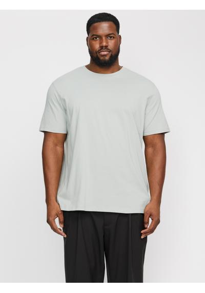 puritan gray