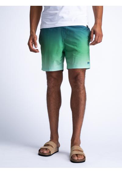 Шорты для плавания Men Swimshort