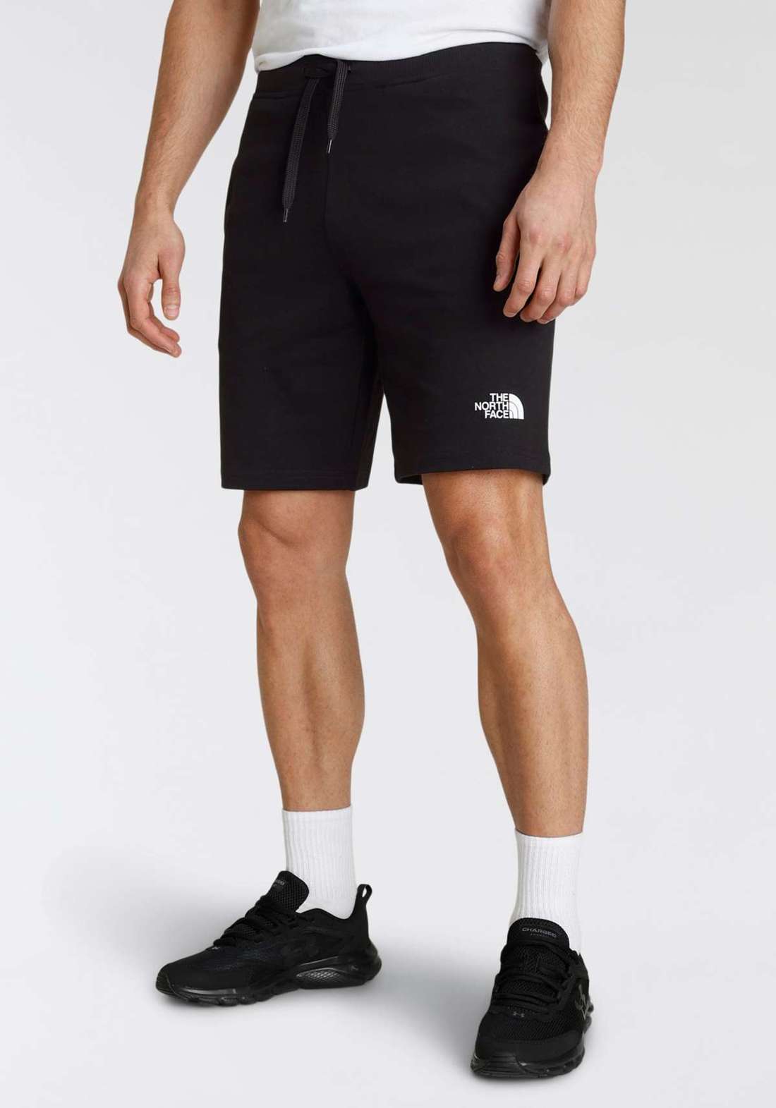 Спортивные шорты NF0A3S4FJK31 M Graphic Short light,