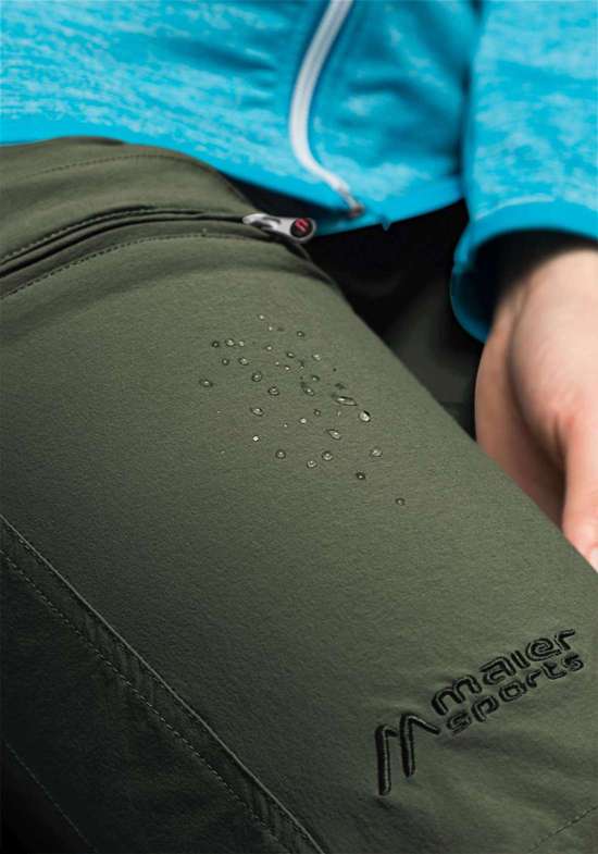 зеленый мох