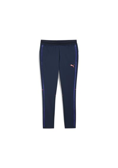 Спортивные брюки»individualBLAZE Trainingshose Damen«