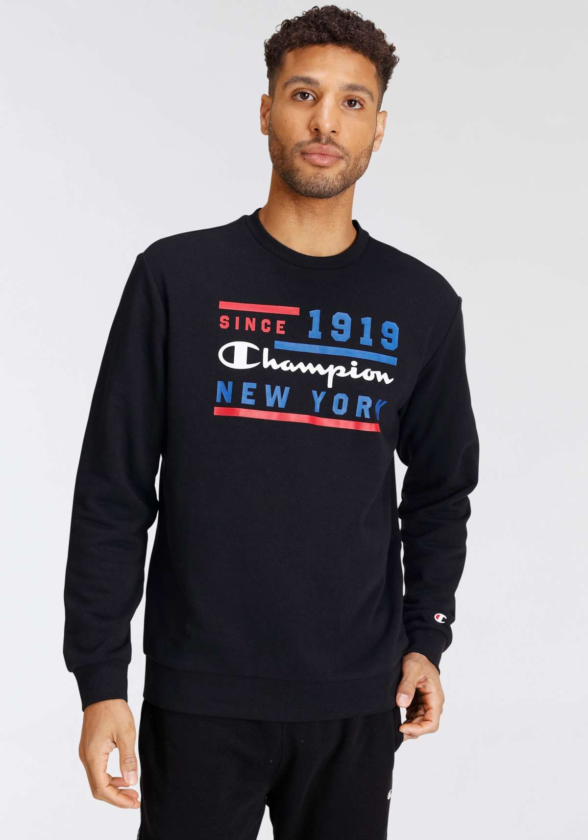 толстовка Crewneck Sweatshirt