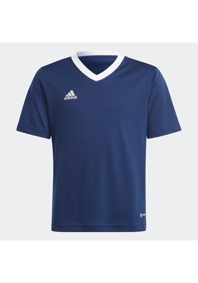 team navy blue 2