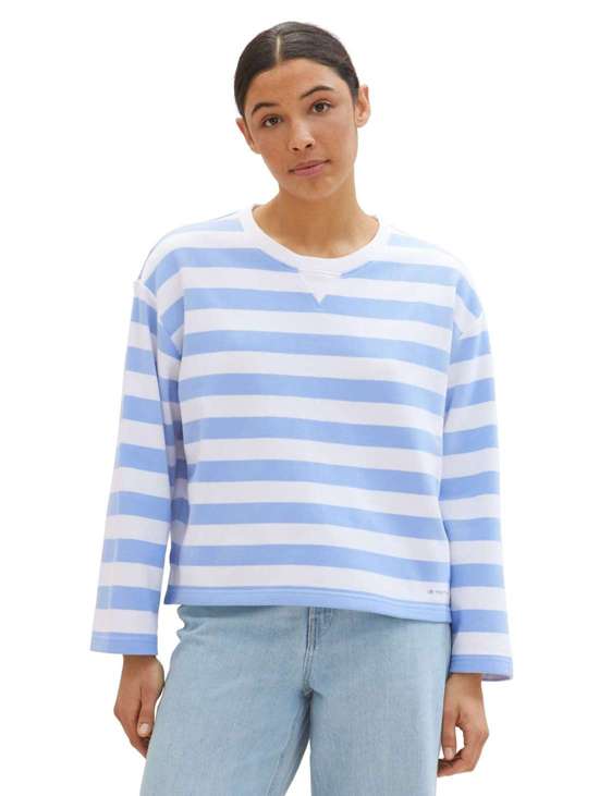 blue offwhite stripe