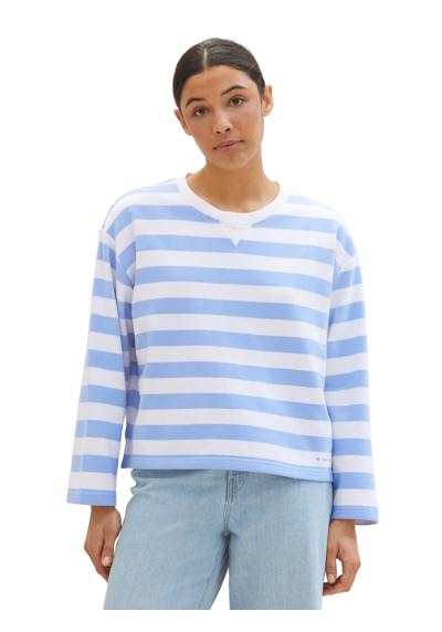 blue offwhite stripe