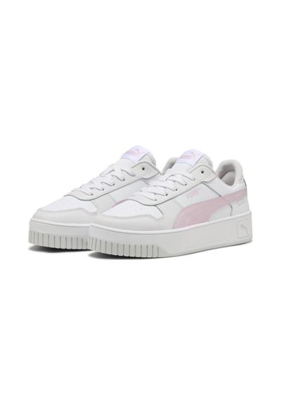 White Rose Mauve Feather Gray Pink