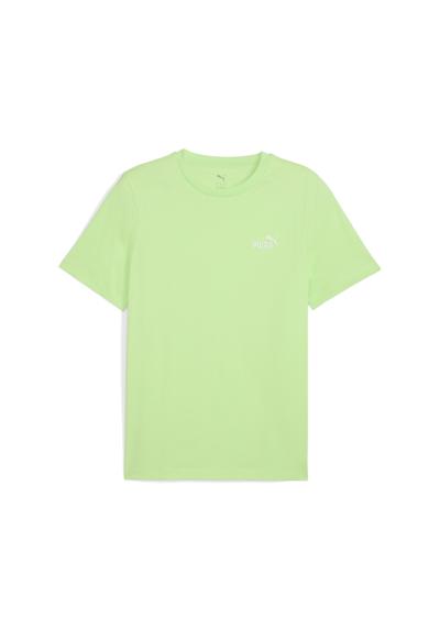 Spring Fern Green