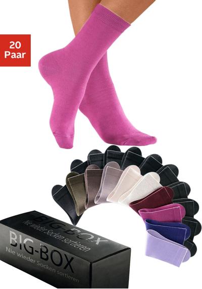 2x braun, 2x beige, 2x lila, 1x beere, 1x ruby, 1x