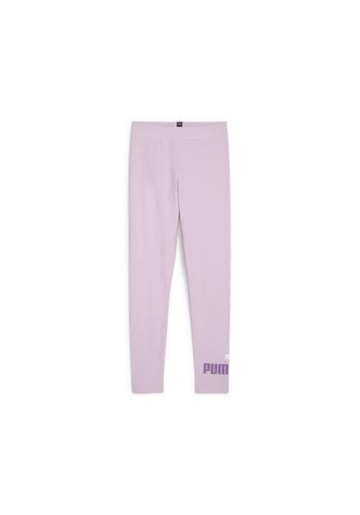 Grape Mist Purple