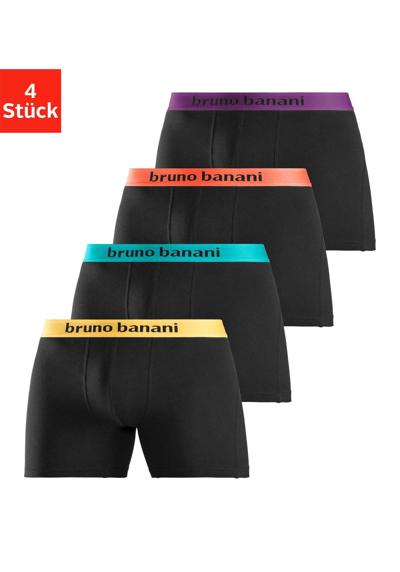 schwarz-orange, schwarz-türkis, schwarz-gelb, schw