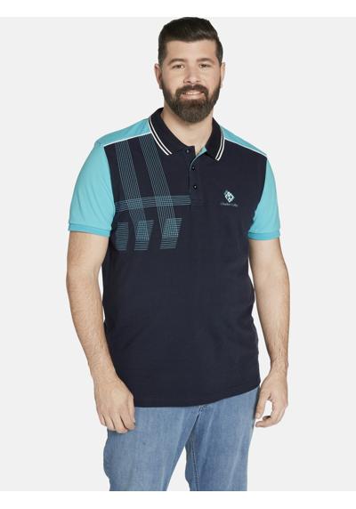 рубашка поло Poloshirt EARL DARRY