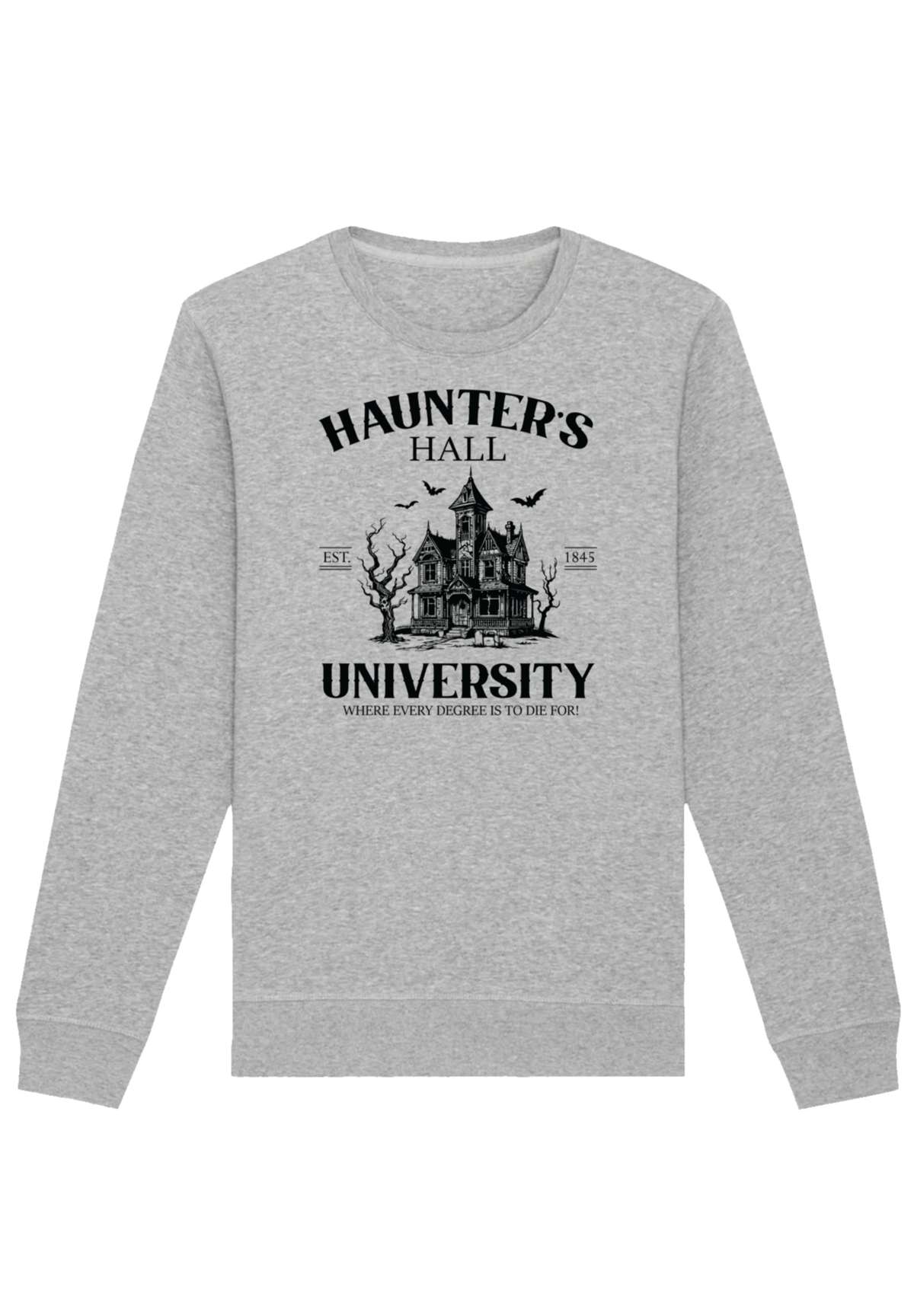 толстовка Halloween University Haunters hall