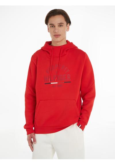 Толстовка с капюшоном GRAPHIC HOODY