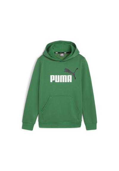 archive green
