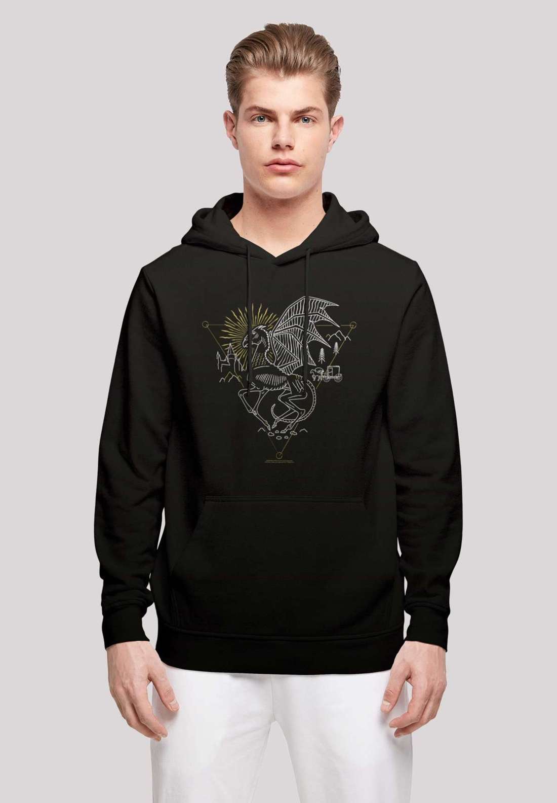 Толстовка с капюшоном Harry Potter Thestral Line Art