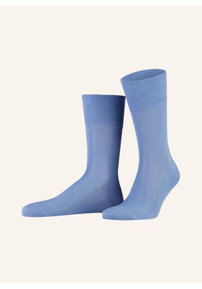 6554 cornflower blue