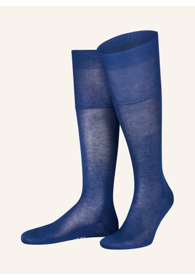 6000 royal blue