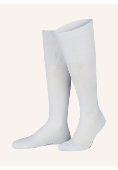 6594 light blue