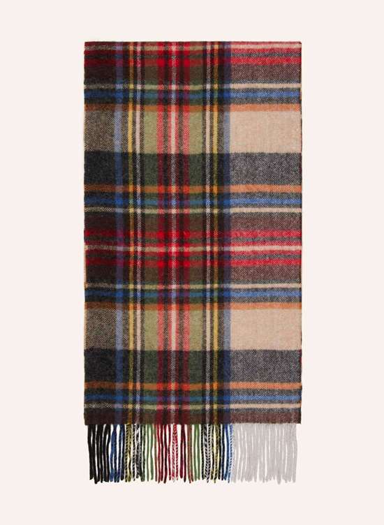 темно-синий/красный/зеленый