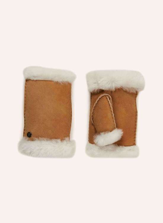 светло-коричневый/кремовый