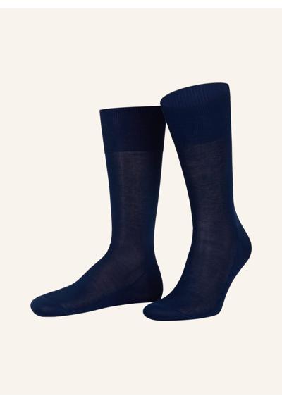 6000 royal blue