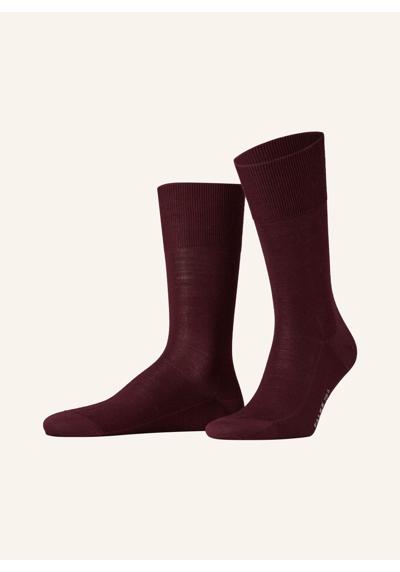 8596 barolo