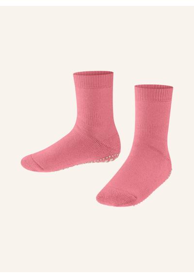 8773 tea rose